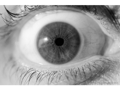 Kate Spade Surprise Sale (US): Up To 75% Off Handbags, Wallets, Accessories, Apparel & More!