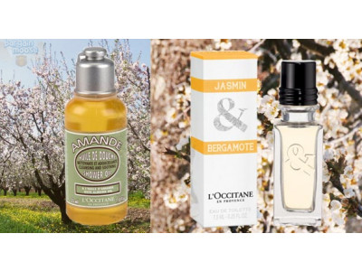 Canadian Freebies: Jasmine & Bergamote EDT or Almond Shower Oil From L’Occitane Canada