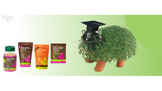 Vitarock Canada: Free Shipping On Any Order PLUS 25% Coupon Code!