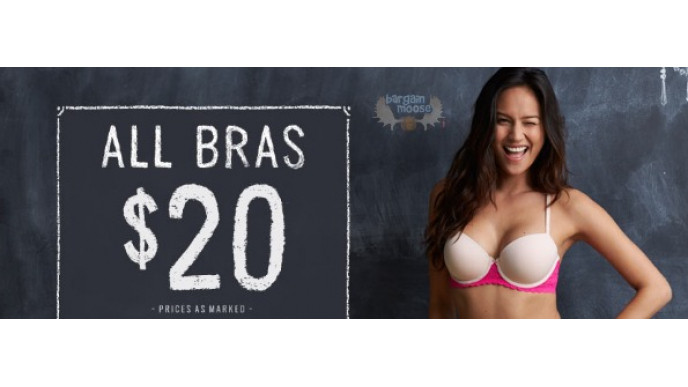 Aerie (US): All Bras $22 & Free Shipping
