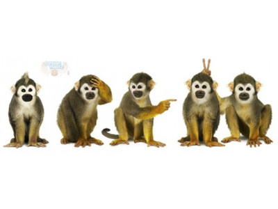 Telus Canada: Student Deals