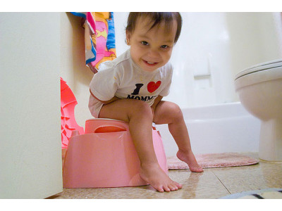 Best Buy & Future Shop Canada: 71% Off Safety 1st Toddler Potty Training Bundle - Now $23 (+ Free Shipping!)