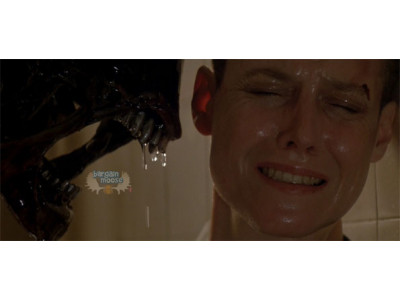 Amazon Canada: 73% Off Alien - Predator: Total Destruction DVD Collection - Now $21.50 (EXPIRED)