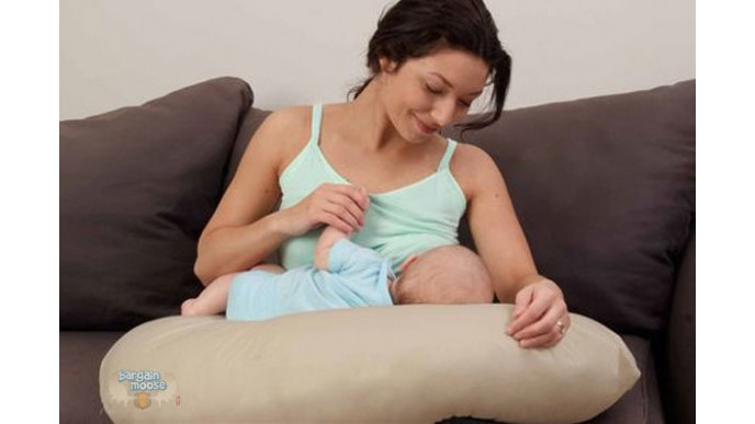 Walmart Canada 20 Off Sealy Sweetpea 2 In 1 Maternity Nursing