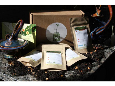 Tea Sparrow Canada: First Month Tea Subscription Only $8 (Save $12)