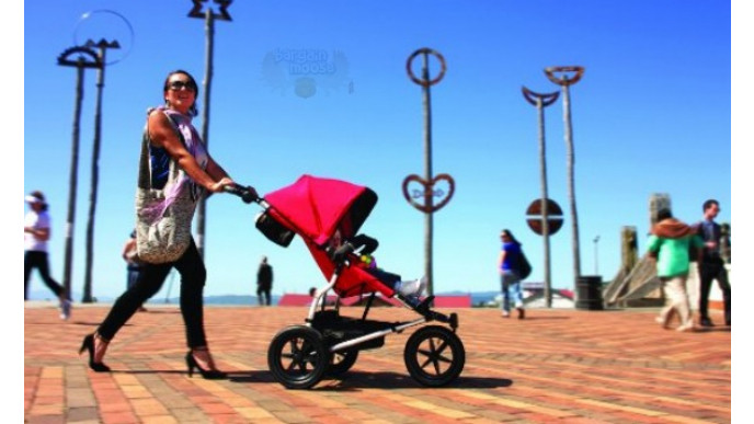 Amazon Canada Coupon: Get Free Phil & Ted's Bassinet With Stroller Purchase