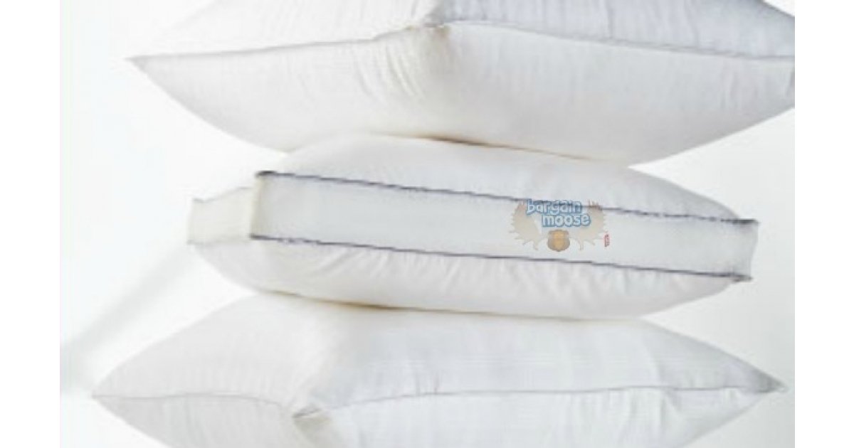 The Bay Canada Today Only 60 Off Pillows