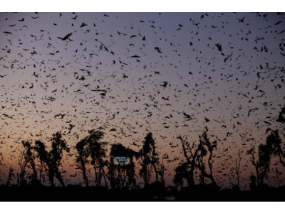 Amazon Canada: Documentaries Over 50% Off