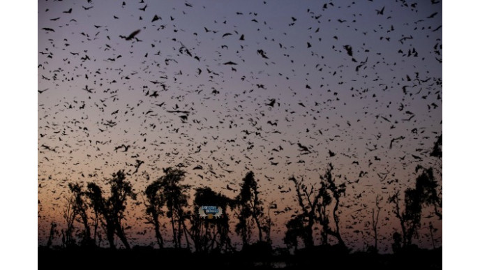 Amazon Canada: Documentaries Over 50% Off