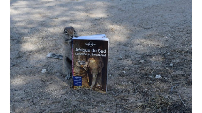 Lonely Planet Canada: 30% Off All Print & Digital Guide Books