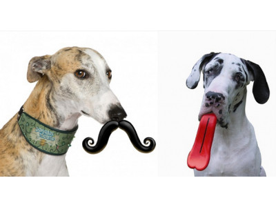 123inkcartridges.ca Coupon Code: Free Shipping This Weekend