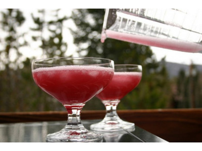 Walmart Canada: Hamilton Beach Blender Only $15