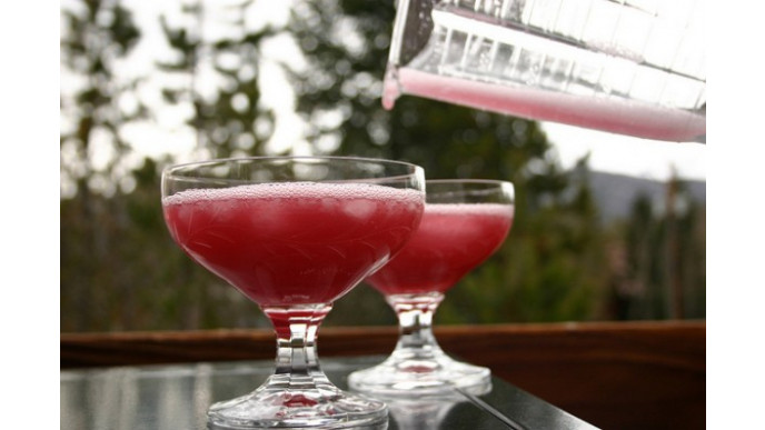 Walmart Canada: Hamilton Beach Blender Only $15