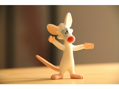 Amazon Canada: Animaniacs Full Seasons Only $11.49