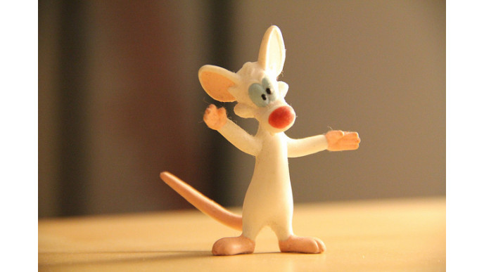 Amazon Canada: Animaniacs Full Seasons Only $11.49