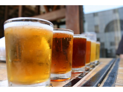 Chapters Indigo Canada: Buy A Beer Making Kit & Get The Mix Free