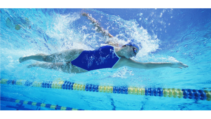 Swim-Shop Canada: Specials on Swim Suits & Gear