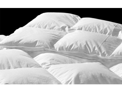 320 TC Down & Feather Duvet $50 @ Sears