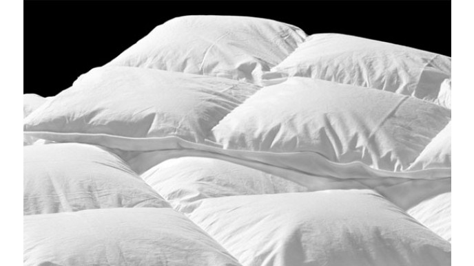 Queen WholeHome 320 Thread Count Down and Feather Duvet $50 with Code @ Sears