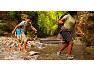 20% off + Free Shipping @ Live Out There