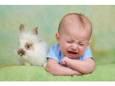 Easter Photos Gone Wrong
