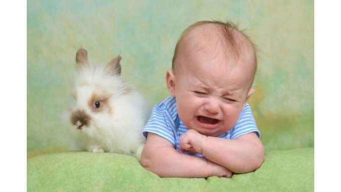 Easter Bunny Photos Gone Wrong!