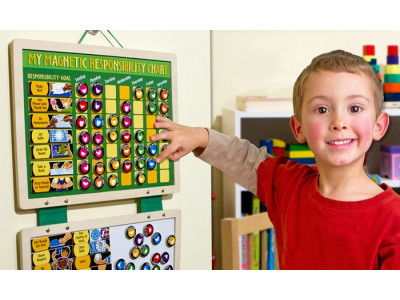 Magnetic Responsibility Chart Now $20