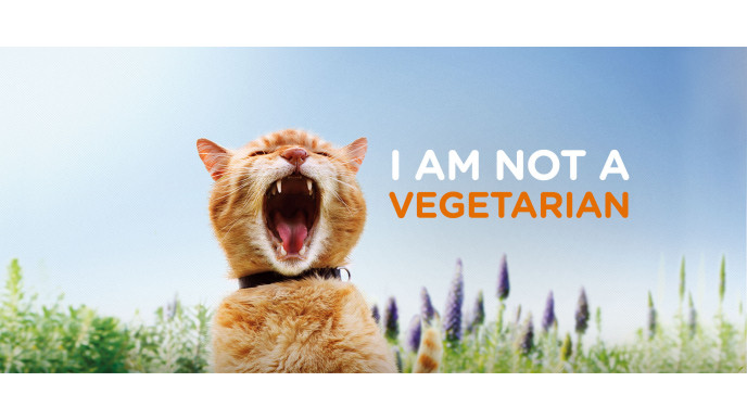 Iams Cat Food on Clearance From $3 @ Walmart.ca