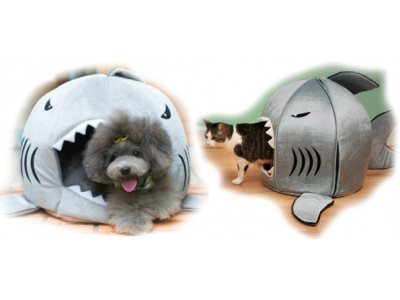 Shark Pet Bed For $17 @ Amazon