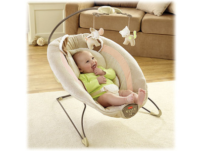 Half Price Fisher Price Bouncer For $45