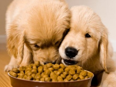 $25 Off $75 @ PetSmart.ca