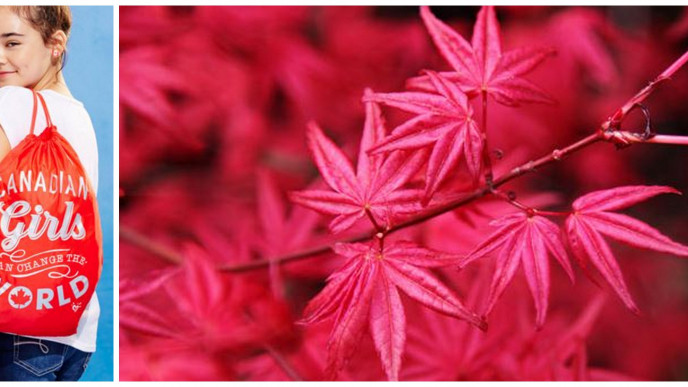 Exclusive 'Canadian Girls Can Change The World' Totebag Free With $65 Purchase In-store Only @ Justice Canada