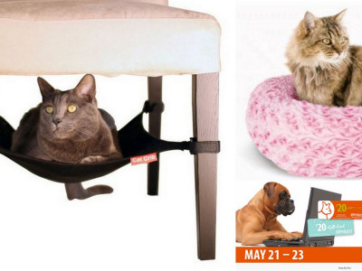 $20 eGift Card W/$100 Purchase @ Petland