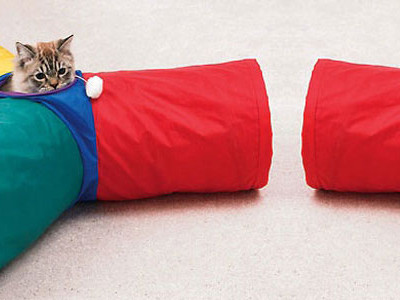 Cat Tunnel - $10 @ Amazon.ca