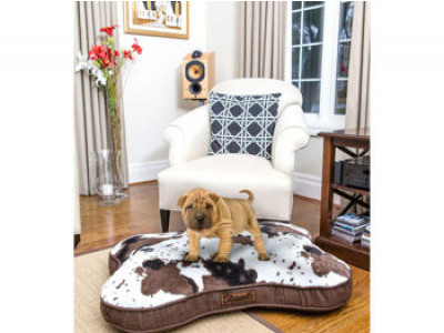 Animal Print Dog Beds $40 Shipped