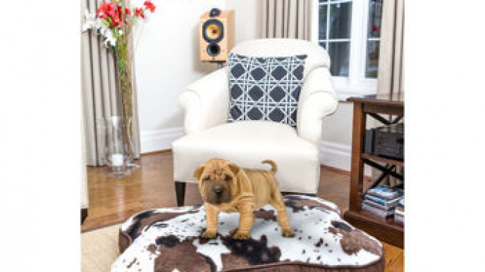 Animal Print Dog Beds Now $40 Shipped @ Costco.ca