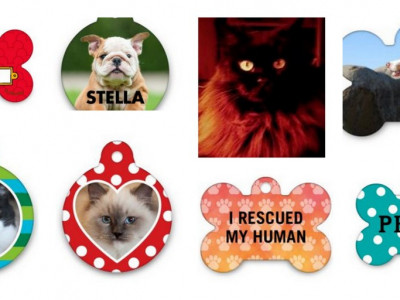 Photo Pet ID Tag,$4.99 USD Total@ Shutterfly