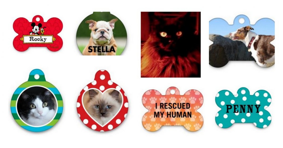 shutterfly free dog tag