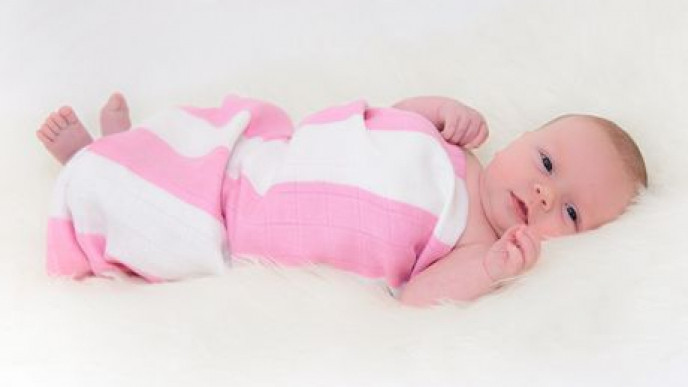 Cuski Great Swandoodle Now $25 @ Walmart.ca