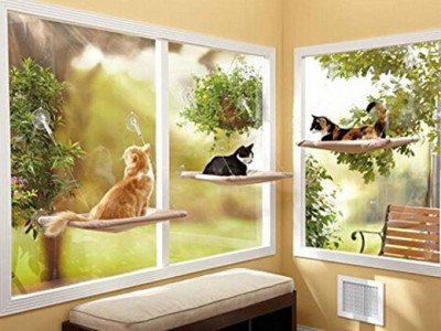 Free Shipping @ 123InkCartridges