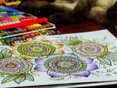 Adult Colouring Books From $10