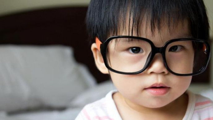 Free Glasses For Back to School - No Strings Attached @ Loblaw Companies