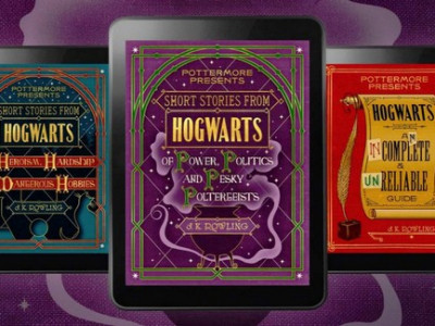 Who Wants More Harry Potter? 