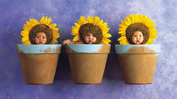 15 Free Gifts to Grow Rewards Points @ Pampers Canada