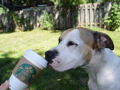 $5 Off @ Starbucks App