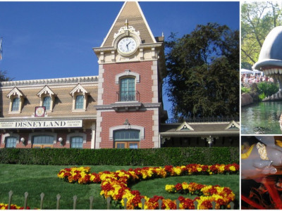 25% off Admission Disney Theme Parks!