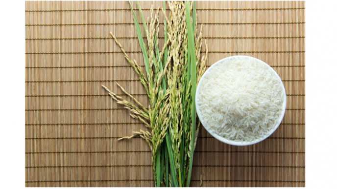 RECALL! Kirkland Signature Thai Hom Mali Jasmine Rice, Due to Presence of Insects