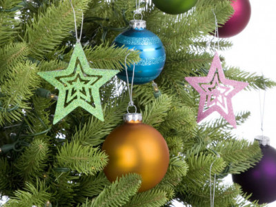 40% Off Christmas Trees @ The Bay