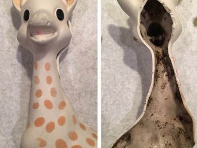 Sophie the Giraffe Growing Mould?!