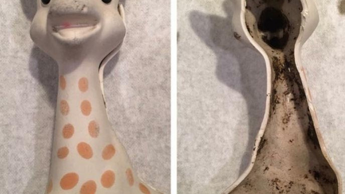 Is Your Child's Sophie the Giraffe Growing Mould?!